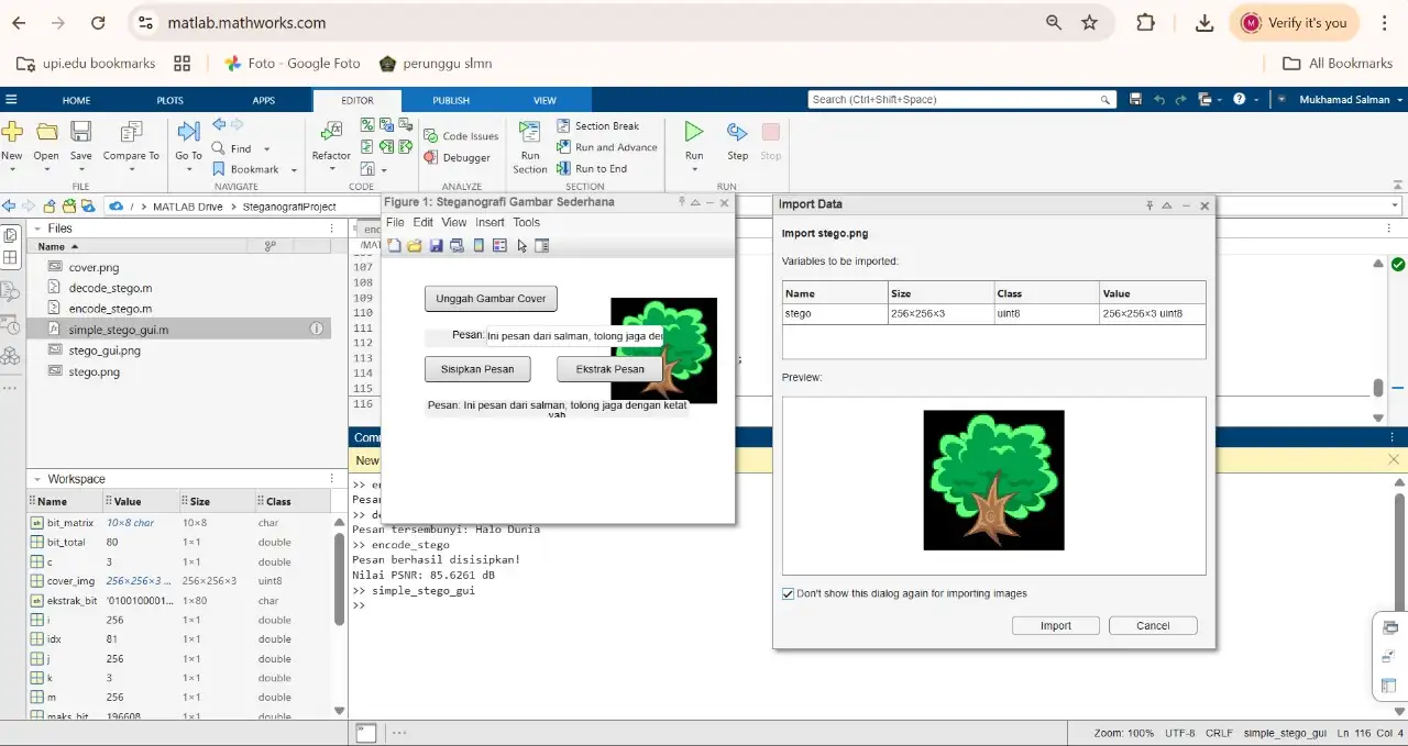 LSB Steganography - MATLAB